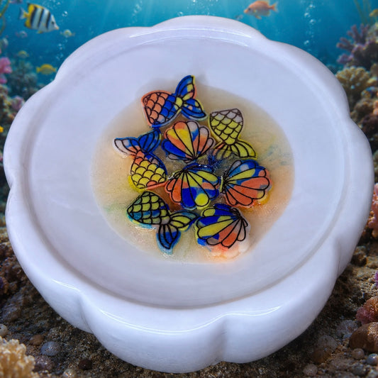 Under The Sea Scoopies