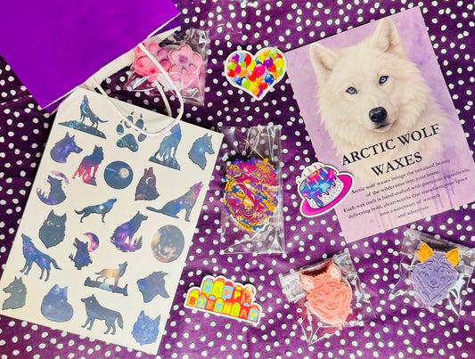 Birthday Party Bags 🥳