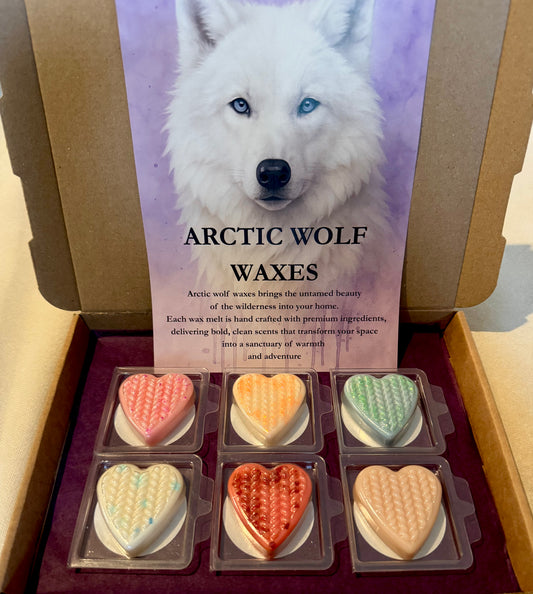 Sample Boxes
