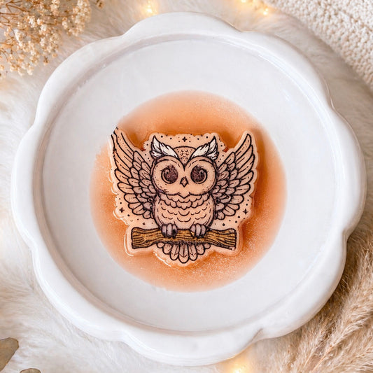 Owl Shape